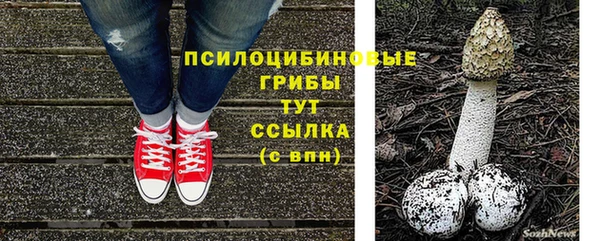 таблы Аркадак
