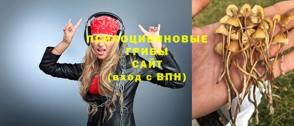 таблы Аркадак
