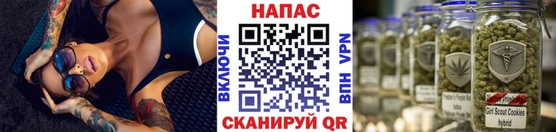 Канабис план  купить  сайты  Макушино 